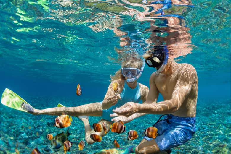 Snorkel en los arrecifes de Bonaire