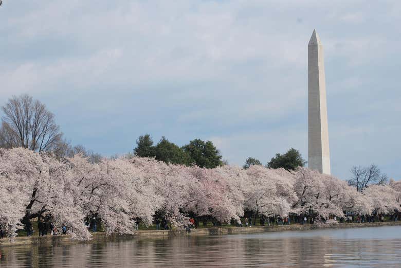 Entradas para el Monumento a Washington sin colas