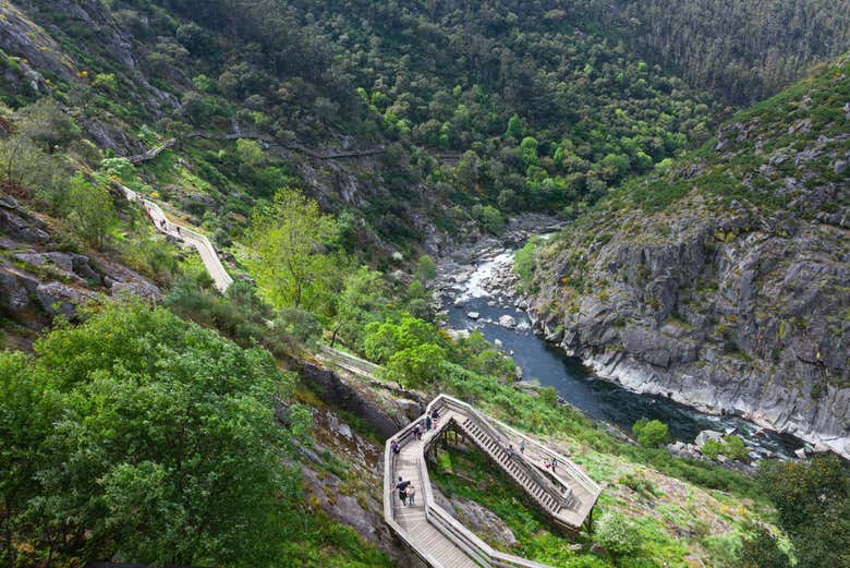 Excursión a Aveiro y Arouca - Galería 1