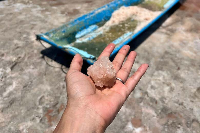 Excursión a Isla Arena - Galería 2