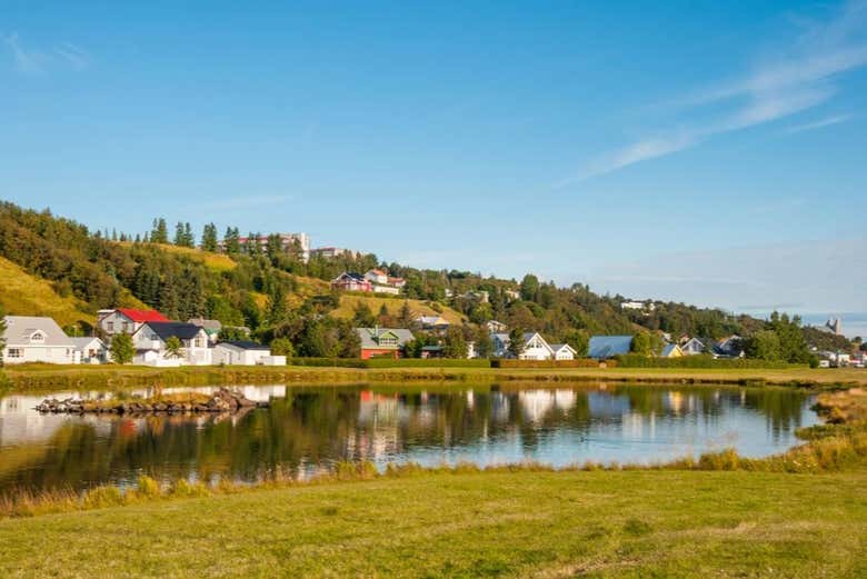 Excursión a la cascada Godafoss y Laufás para cruceros