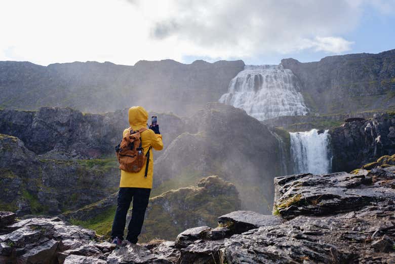 Cascada Dynjandi + Visita a una granja de caballos islandeses para cruceros