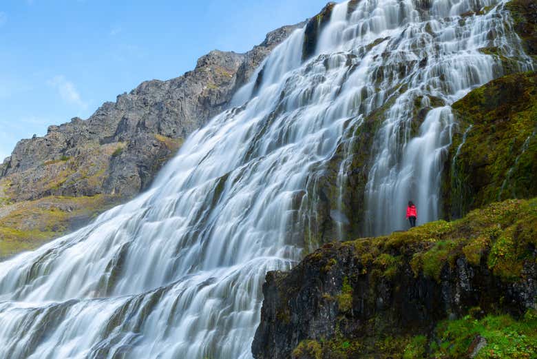 Cascada Dynjandi + Visita a una granja de caballos islandeses para cruceros