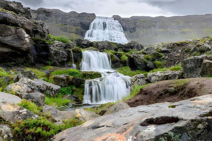 Cascada Dynjandi + Visita a una granja de caballos islandeses para cruceros