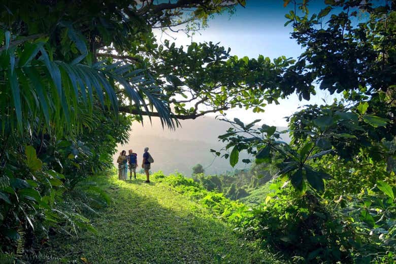 Tirolina Yunque + Rápel y senderismo