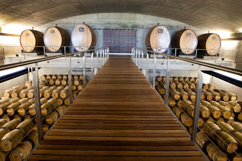Excursión a Laguardia + Visita a una bodega con cata