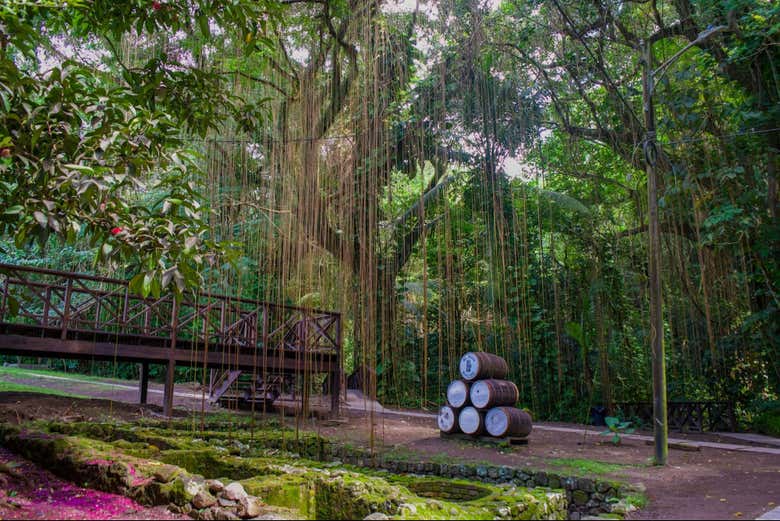 Tour fotográfico por San Cristóbal