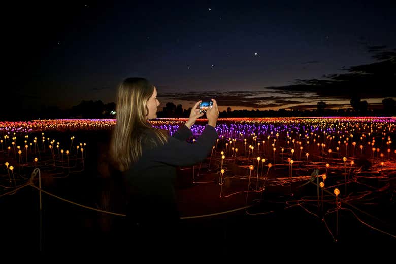Field of Light al amanecer