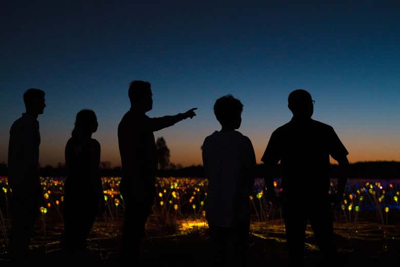 Field of Light al amanecer