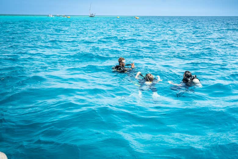 Buceo en el Atolón Mnemba - Galería 1