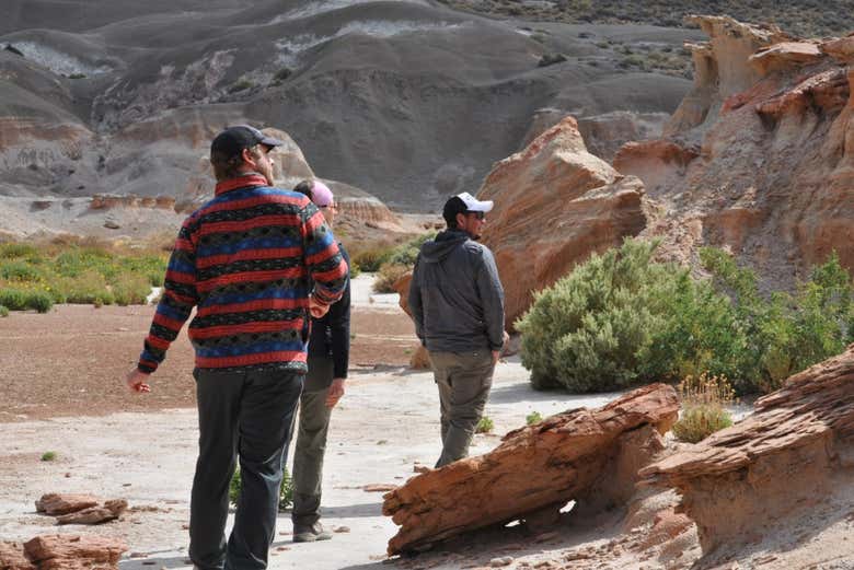 Excursión al Valle de Marte