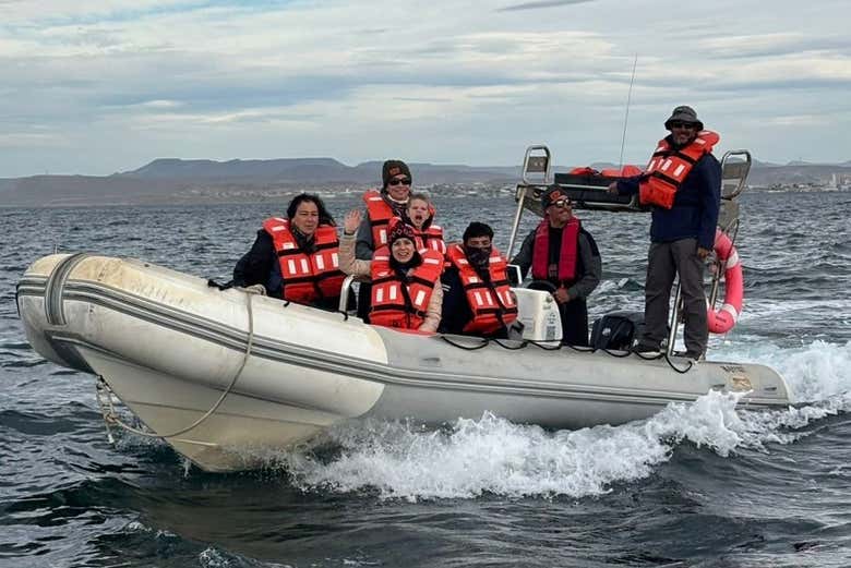 Avistamiento de ballenas en Comodoro Rivadavia