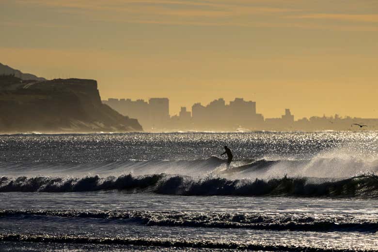 Avistamiento de ballenas en Comodoro Rivadavia
