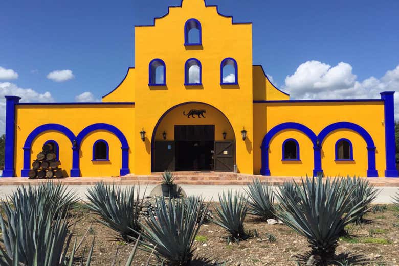 Free tour por Cancún