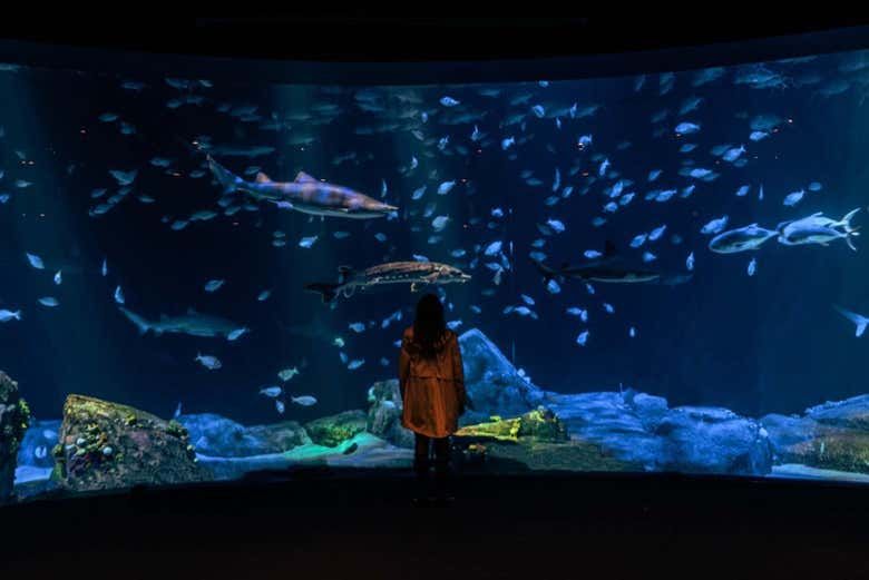 Entradas al Acuario de Nueva York