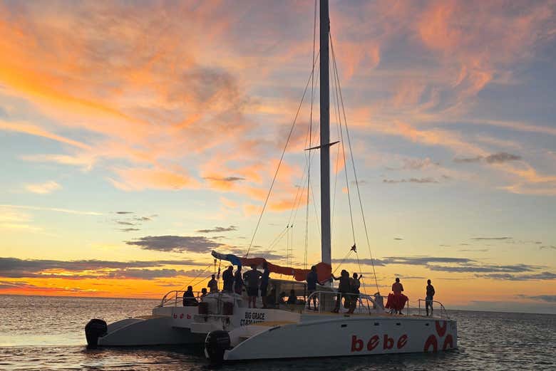 Excursión privada a Bahía de las Águilas en catamarán