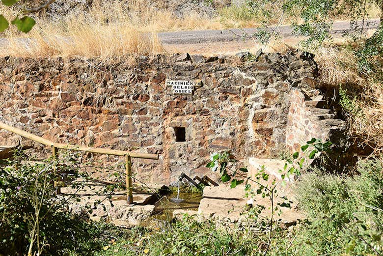 Ruta del jamón ibérico por la Sierra de Aracena - Galería 1