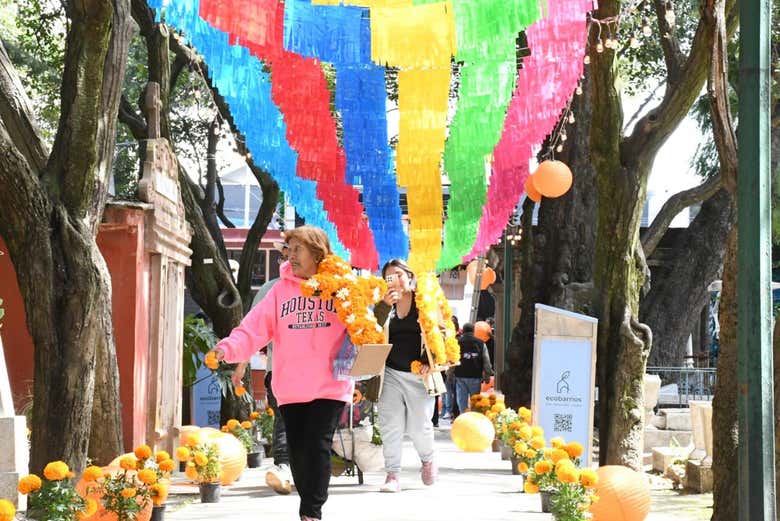 Tour del Día de Muertos por Coyoacán