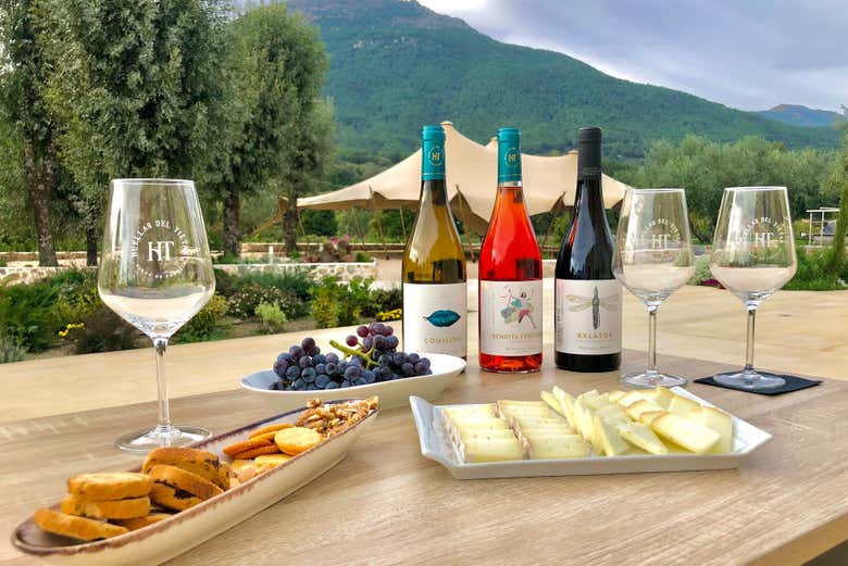Visita a la bodega Huellas del Tiétar
