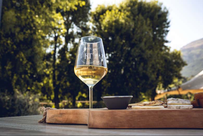 Visita a la bodega Huellas del Tiétar