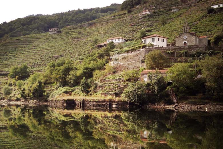 Paseo en catamarán por los cañones del Miño