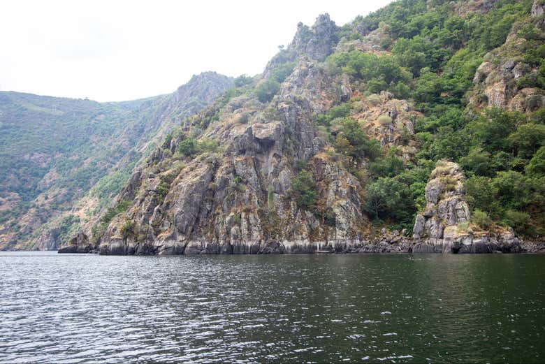 Paseo en catamarán por los cañones del Miño
