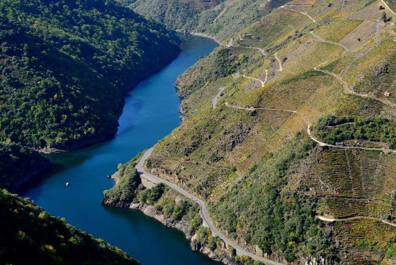 Paseo en catamarán por los cañones del Miño