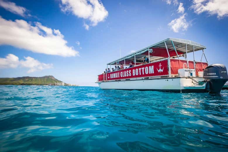 Paseo en barco con fondo de cristal por Honolulu - Galería 2