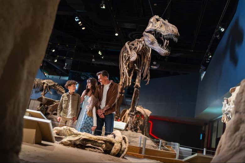 Excursión a Drumheller y las Badlands