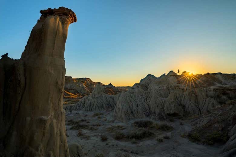 Excursión a Drumheller y las Badlands