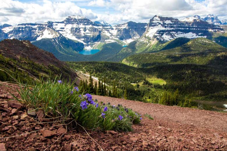 Excursión al Parque Nacional Waterton Lakes