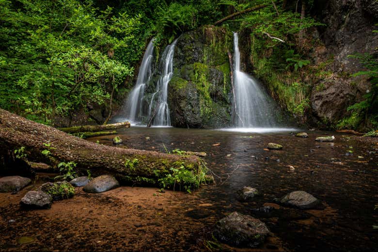 Excursión a Black Isle y las cascadas de Fairy Glen + Avistamiento de delfines en North Kessock
