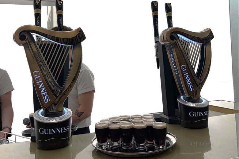 Visita guiada por Dublín + Entrada a la Guinness Storehouse