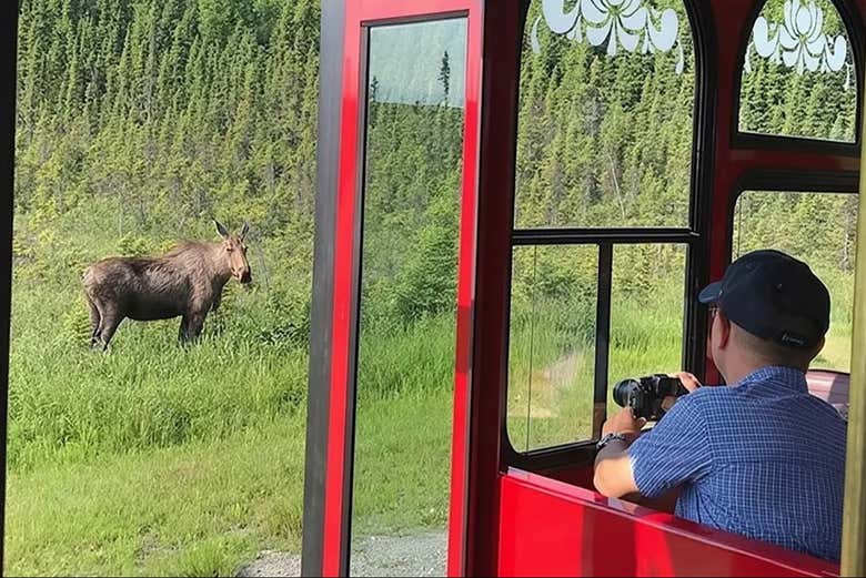 Tour en trolley por Anchorage