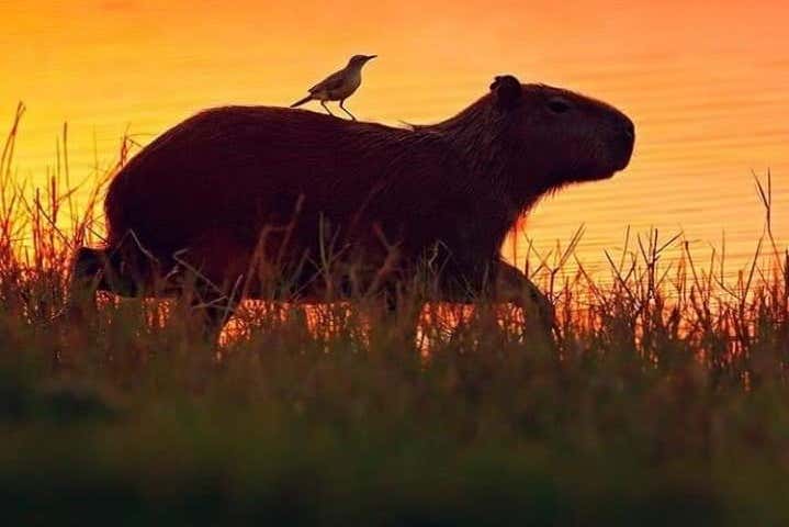 Excursión de 3 días por el Parque Nacional Madidi