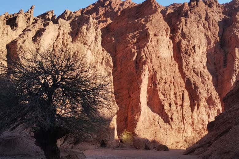 Trekking en Cafayate
