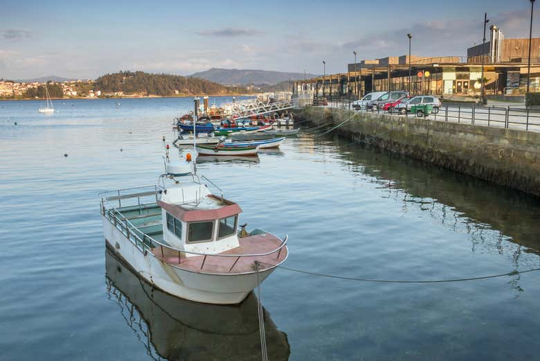 Excursión a Combarro, La Toja y Costa da Morte - Galería 2