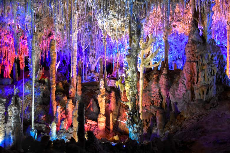 Entradas a las Cuevas Dels Hams