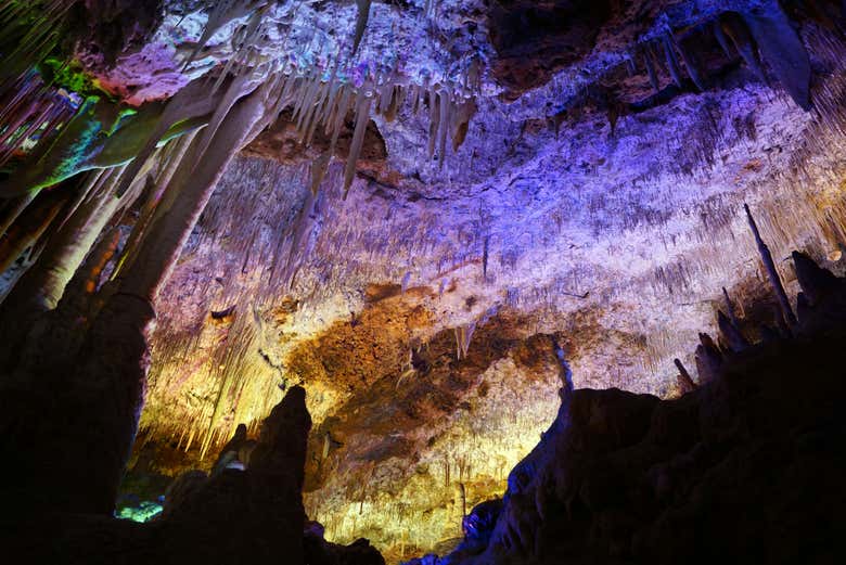 Entradas a las Cuevas Dels Hams