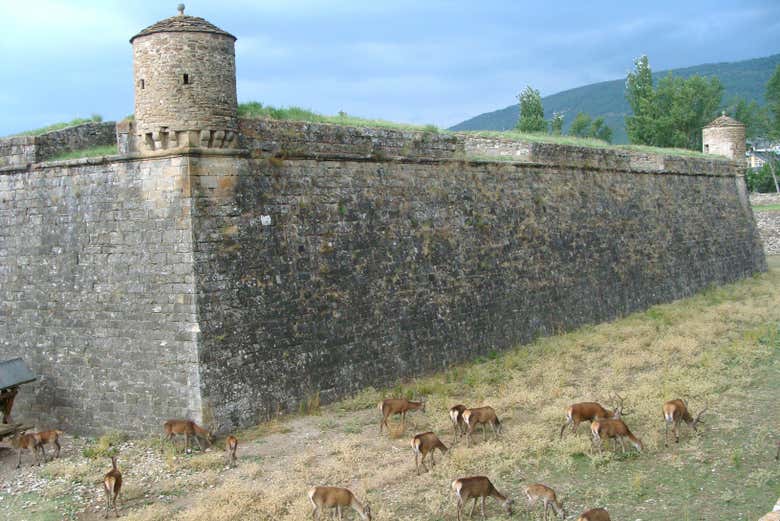 Free tour por Jaca