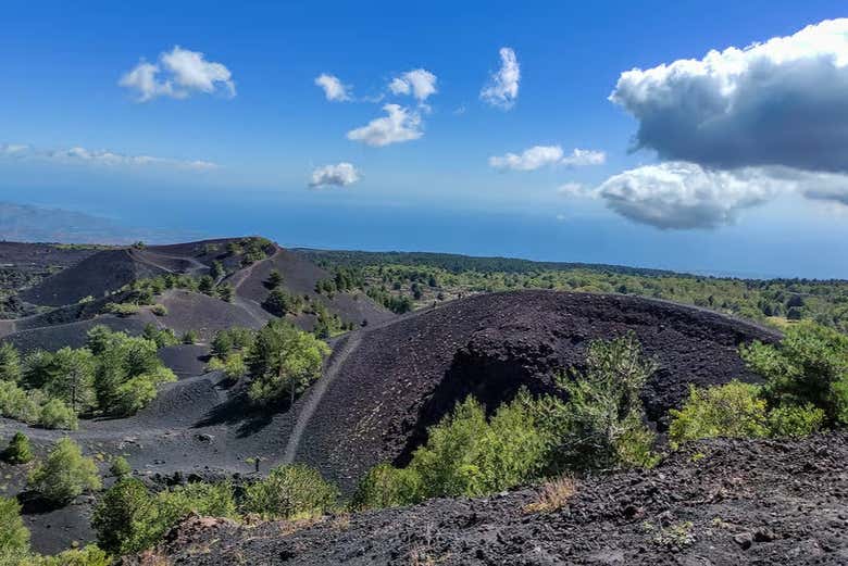 Excursión al Etna y las Gargantas de Alcántara con comida