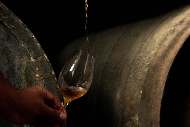 Visita a las Bodegas Barón