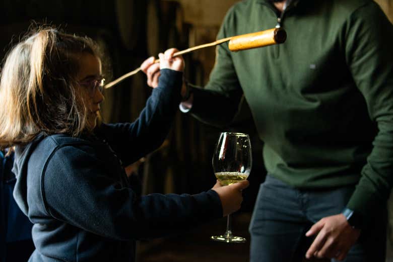 Visita a las Bodegas Barón
