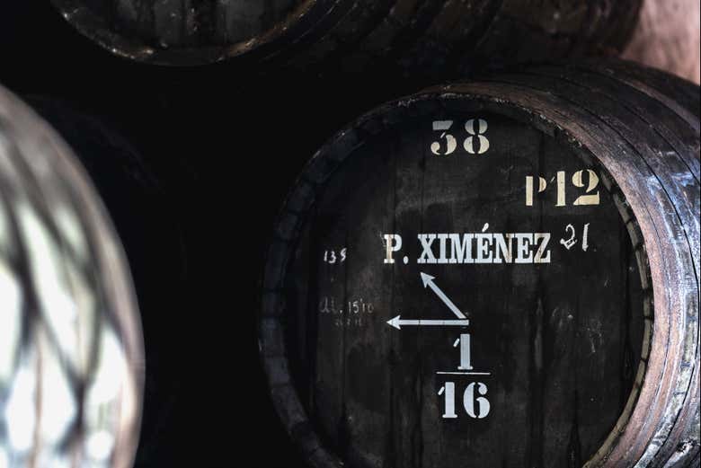 Visita a las Bodegas Barón