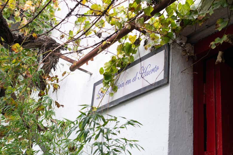 Visita a las Bodegas Barón