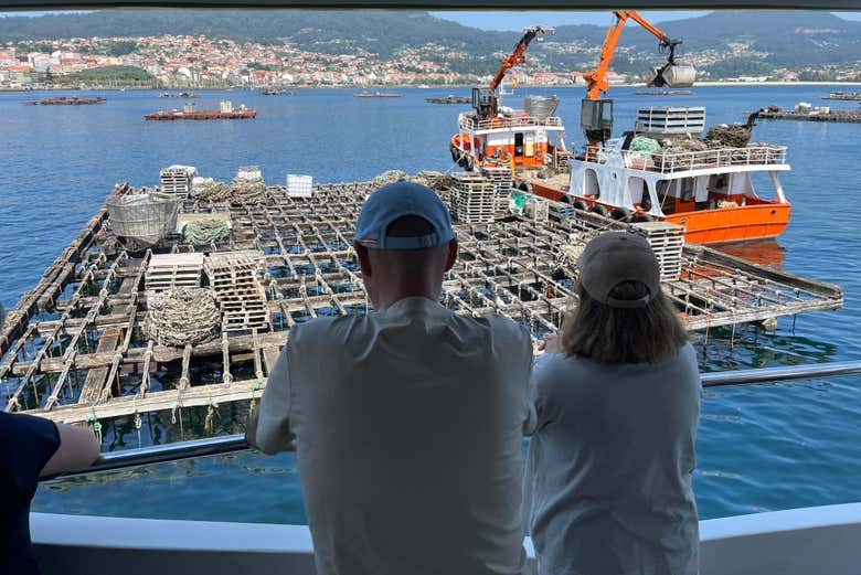 Paseo en barco por la ría de Pontevedra con degustación de pulpo - Galería 1