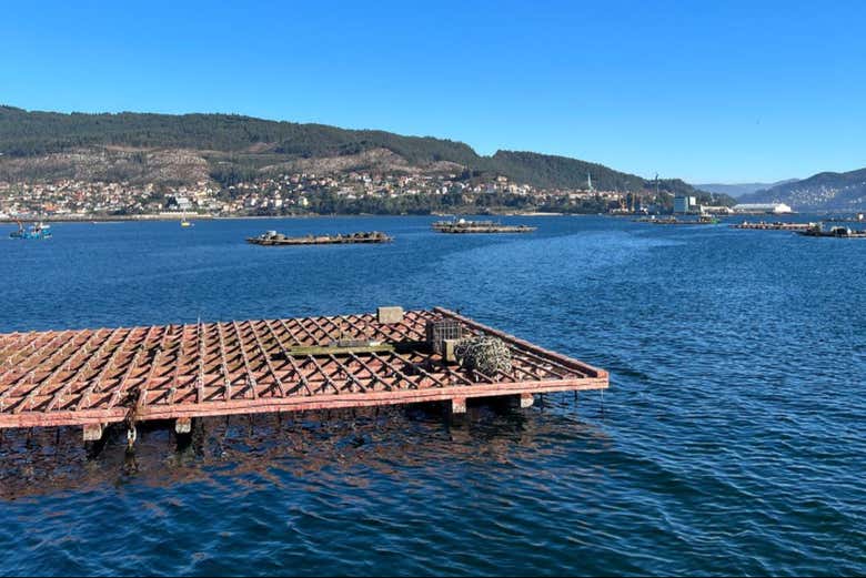 Paseo en barco por la ría de Pontevedra con degustación de pulpo