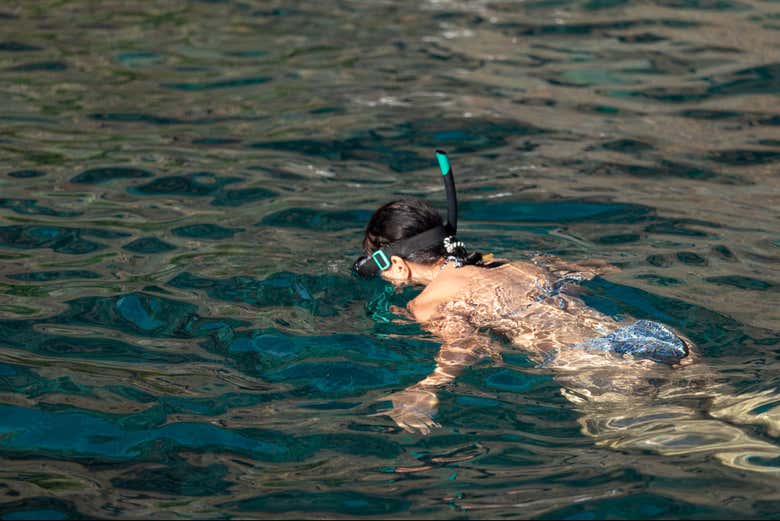 Kayak y snorkel por Los Gigantes