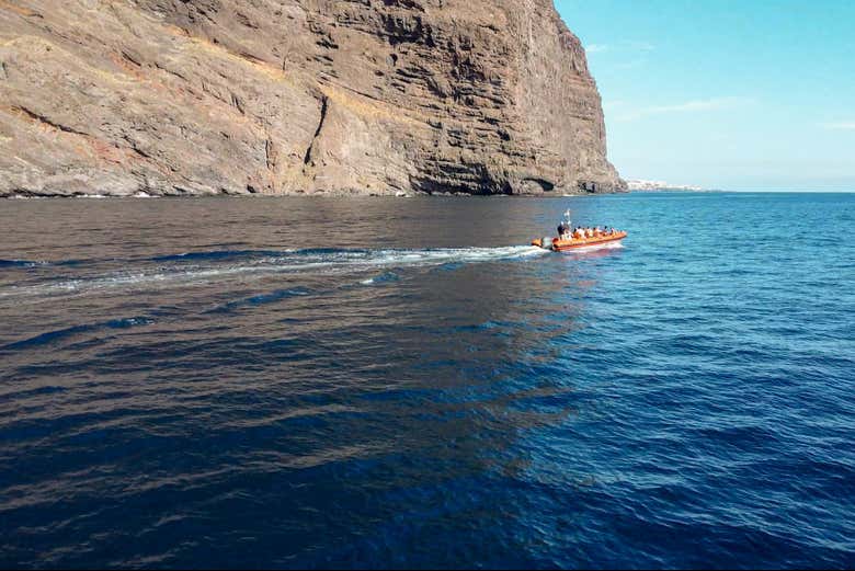 Paseo en barco por Los Gigantes y Punta de Teno en grupo reducido