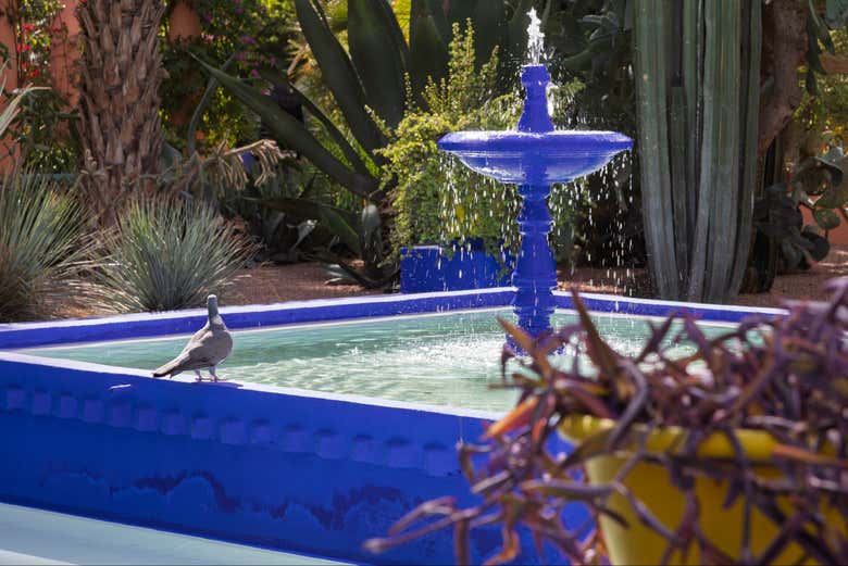 Entradas al Jardín Majorelle con audioguía